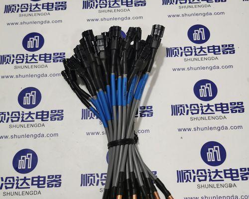 揭秘刺客信条兄弟会（探索游戏世界的每个角落）