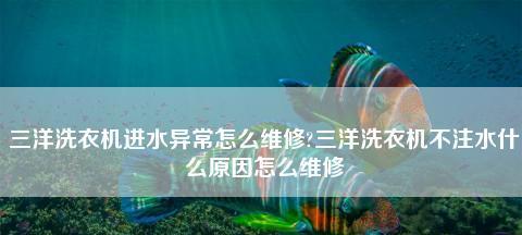 解决洗衣机不进水问题的有效方法（洗衣机水源故障原因及排除方法）