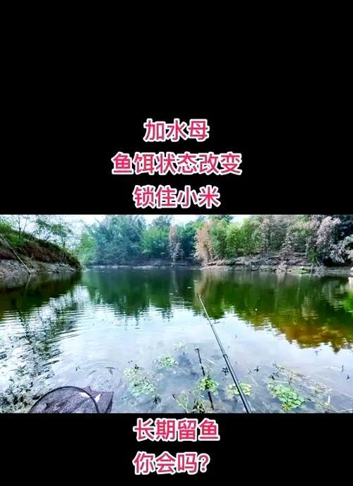 三星手机语音钓鱼安装步骤是什么？