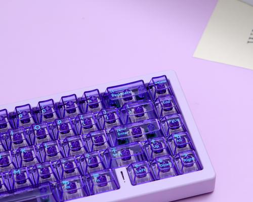 紫色类型键盘是什么？有哪些独特功能？