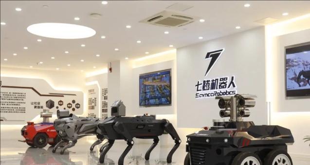 国内有哪些巨形机器人？