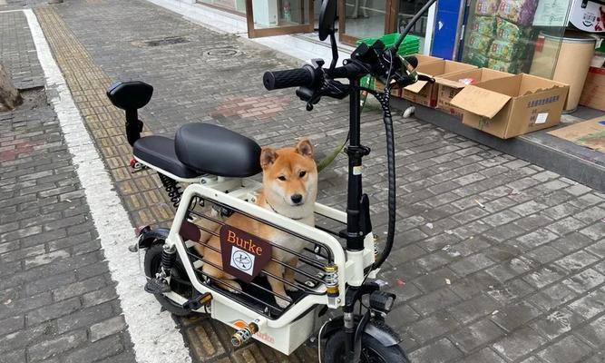电瓶车出租客户寻找方法是什么？