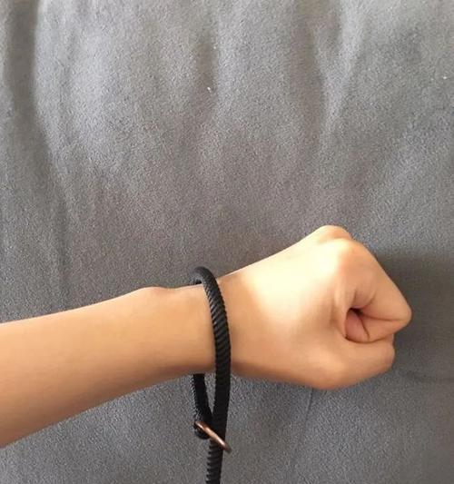 电瓶车安装狗绳的方法是什么？操作中应注意什么？