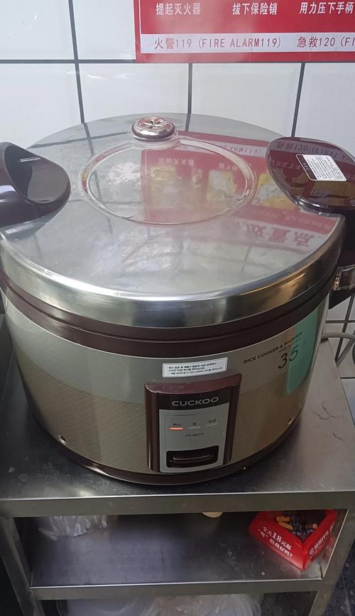 故障处理指南（专业解读韩国电饭煲故障及其处理方法）