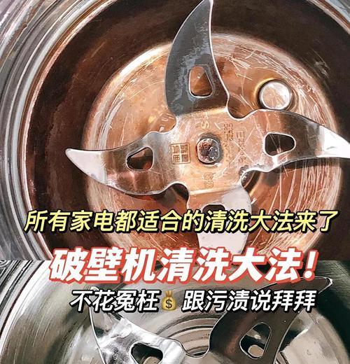 破壁机污渍清洁方法大揭秘（轻松应对破壁机上的污渍问题）