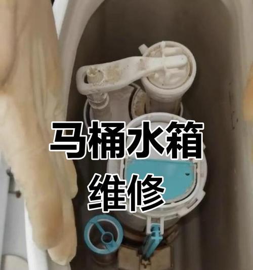 东鹏马桶水箱不上水的维修方法（马桶水箱不进水的解决步骤详解）