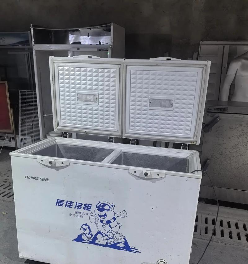 利用长治闲置冰柜处理废物的创意解决方案（挖掘闲置冰柜的新用途）