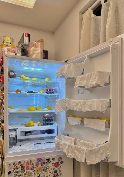 如何处理发霉的冰箱（快速有效解决冰箱发霉问题）