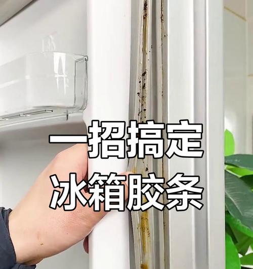 如何处理发霉的冰箱（快速有效解决冰箱发霉问题）