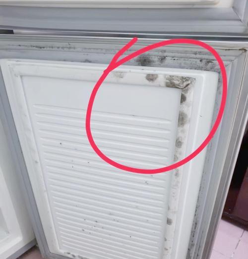 拆冰箱胶条清洗方法（轻松彻底清洁冰箱胶条）