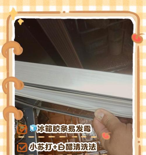 拆冰箱胶条清洗方法（轻松彻底清洁冰箱胶条）