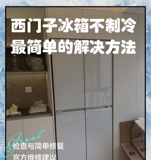 如何巧妙掩盖冰箱损坏的痕迹（保护隐私）