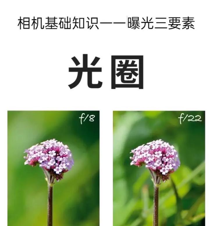 如何调整最佳光圈（掌握光圈调节技巧）