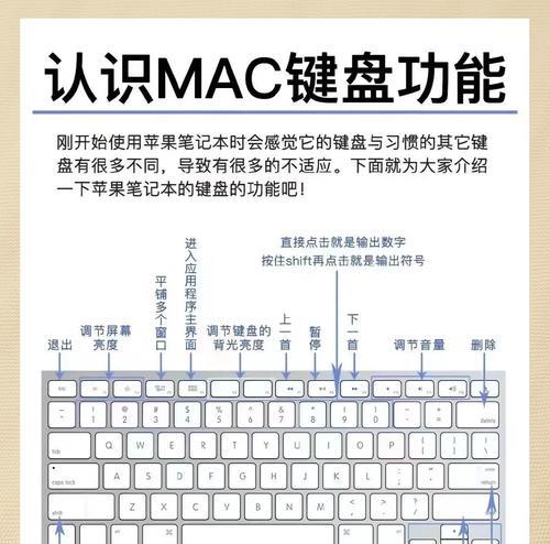 苹果电脑键盘使用技巧（高效使用苹果电脑键盘）